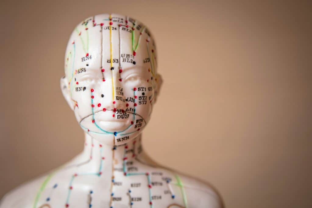 Selective focus shot of a dummy with Acupuncture points and meridians